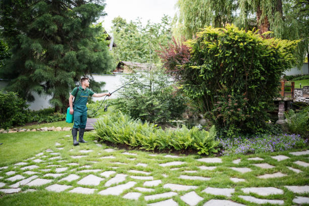 Best Residential Pest Control  in Norway, MI