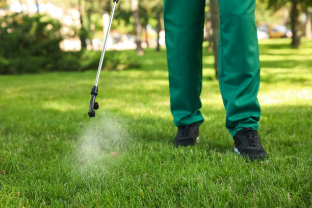 Best Affordable Pest Control Services  in Norway, MI