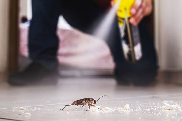 Best Pest Prevention Services  in Norway, MI